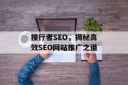 搜行者SEO，揭秘高效SEO网站推广之道