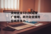 贵阳企业SEO网站推广策略，助力企业提升在线竞争力