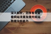 深入解析，怎样有效查看网站流量及提升网站数据分析能力