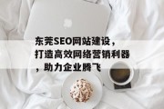 东莞SEO网站建设，打造高效网络营销利器，助力企业腾飞