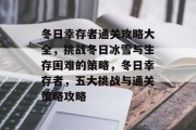 冬日幸存者通关攻略大全，挑战冬日冰雪与生存困难的策略，冬日幸存者，五大挑战与通关策略攻略