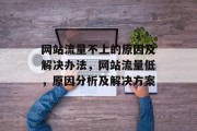 网站流量不上的原因及解决办法，网站流量低，原因分析及解决方案