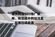 肇庆网站SEO推广策略，助您提升网站流量，拓展在线业务
