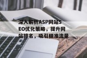 深入解析ASP网站SEO优化策略，提升网站排名，吸引精准流量