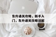 东升通关攻略，新手入门，东升通关攻略详解