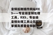 音频后期插件网站RX9——专业级音频处理工具，RX9，专业级音频处理工具让你轻松掌握高质量音频制作