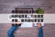 揭秘2023年十大招标网站排名，行业翘楚齐聚，助力招标事业蓬勃发展