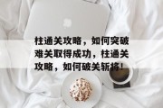 柱通关攻略，如何突破难关取得成功，柱通关攻略，如何破关斩将！