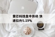 雾芯科技盘中异动 快速拉升5.19%