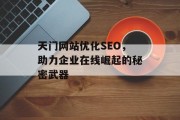天门网站优化SEO，助力企业在线崛起的秘密武器
