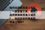 如何选择网页美工插件，一款必备工具，如何高效使用网页美工插件？，如何安装和使用网页美工插件？