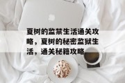 夏树的监禁生活通关攻略,夏树的秘密监狱生活,通关秘籍攻略