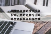 揭秘上海网站优化排名公司，助力企业抢占网络营销制高点的秘密武器