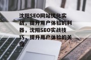沈阳SEO网站优化实战，提升用户体验的利器，沈阳SEO实战技巧，提升用户体验的关键