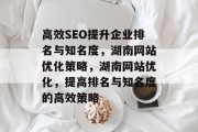 高效SEO提升企业排名与知名度，湖南网站优化策略，湖南网站优化，提高排名与知名度的高效策略