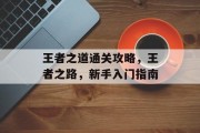 王者之道通关攻略，王者之路，新手入门指南