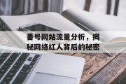 番号网站流量分析，揭秘网络红人背后的秘密