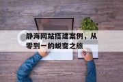 静海网站搭建案例，从零到一的蜕变之旅