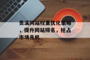 贵溪网站权重优化策略，提升网站排名，抢占市场先机