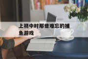 上初中时那些难忘的捕鱼游戏