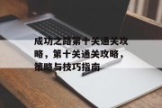 成功之路第十关通关攻略，第十关通关攻略，策略与技巧指南