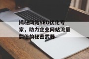 揭秘网站SEO优化专家，助力企业网站流量翻倍的秘密武器