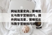 网站流量定向，策略优化与数字营销技巧，提升网站流量，策略优化与数字营销技巧详解
