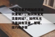 没有流量的网站应该如何重建？，如何恢复无流量网站?，如何从无流量到有流量，策略、技巧和步骤