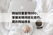 网站权重查询SEO，掌握关键词优化技巧，提升网站排名