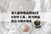 深入解析精品网站SEO分析工具，助力网站优化与提升排名