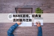 MAME游戏，经典复古的魅力之旅