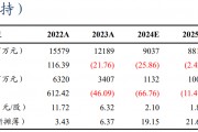 【东吴电新】永兴材料2024年业绩预告点评：Q4业绩符合预期，成本优势显著