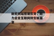 新密网站搭建优势，助力企业互联网转型新篇章