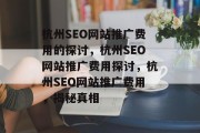 杭州SEO网站推广费用的探讨，杭州SEO网站推广费用探讨，杭州SEO网站推广费用，揭秘真相