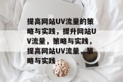 提高网站UV流量的策略与实践，提升网站UV流量，策略与实践，提高网站UV流量，策略与实践