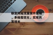 联盟网站流量提升策略，多维度优化，实现共赢增长