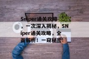 Sniper通关攻略，一次深入揭秘，SNiper通关攻略，全面解析！一窥秘密!