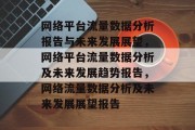 网络平台流量数据分析报告与未来发展展望，网络平台流量数据分析及未来发展趋势报告，网络流量数据分析及未来发展展望报告