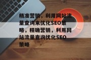 精准营销，利用网站流量查询来优化SEO策略，精确营销，利用网站流量查询优化SEO策略