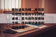 雨林通关攻略，寻找亚马逊热带雨林中的神秘通道，亚马逊热带雨林之旅，找到神秘通道的必经之路