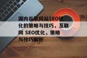 国内谷歌网站SEO优化的策略与技巧，互联网 SEO优化，策略与技巧解析