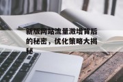 新版网站流量激增背后的秘密，优化策略大揭秘
