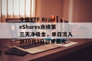 中概ETF KraneShares连续第三天净吸金，单日流入创10月3日以来最大