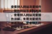 查看别人网站流量插件，提升网站流量的神器，查看别人网站流量插件详解，免费流量提升神器揭秘，查看别人的网站流量插件！
