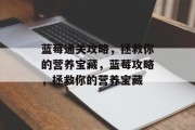 蓝莓通关攻略，拯救你的营养宝藏，蓝莓攻略，拯救你的营养宝藏
