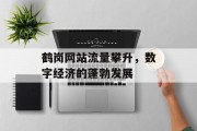 鹤岗网站流量攀升,数字经济的蓬勃发展 鹤岗网站流量攀升,数字经济的蓬勃发展