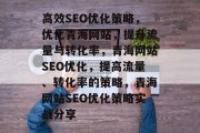 高效SEO优化策略，优化青海网站，提升流量与转化率，青海网站SEO优化，提高流量、转化率的策略，青海网站SEO优化策略实战分享