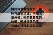 网站流量数据分析，指标背后的价值，网站流量分析，揭示其背后的价值，网站流量价值，背后的指标解读与发现