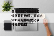 盐城市SEO网站排名优化软件教程，盐城市SEO网站排名优化软件操作指南