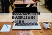 阳光动力盘中异动 股价大涨5.11%报0.405美元